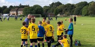 Image result for Frensham Football Club