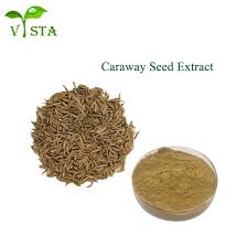 Image result for Carum carvi