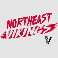 Image result for North East Vikings