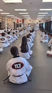Image result for New Milton Taekwondo Club
