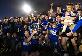 Image result for Sarsfields Hurling Club