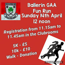 Image result for Ballerin Gaelic Athletic Club