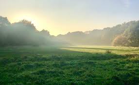 Image result for Thames Ditton & Esher Golf Club