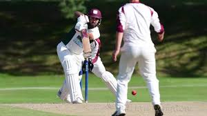 Image result for Horsley & Send Cricket Club
