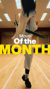 Image result for Hillcross, Raynes Park & Redhill Choi Kwang-Do