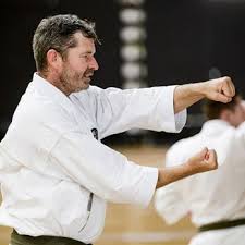 Image result for middlesbrough karate academy