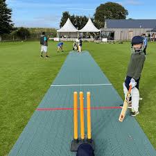 Image result for Bucklebury Cricket Club