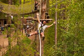 Image result for The Go Ape Experience (Swinley Forest)