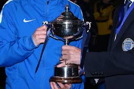 Image result for Hassocks Ladies FC