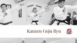 Image result for Yonju dojo shotokan karate club