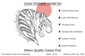Image result for Junsui Shotokan Karate Do