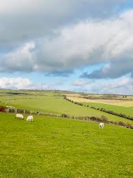 Image result for West Hove Golf Club