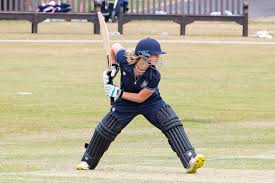 Image result for Bradfield Cricket Club