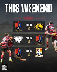 Image result for Widnes St Maries Amateur Rugby League Football Club