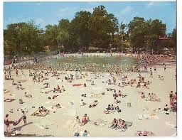 Image result for Fleetwood and District Swimming Club