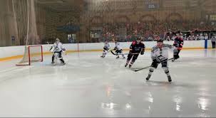 Image result for Haringey Junior Ice Hockey Club