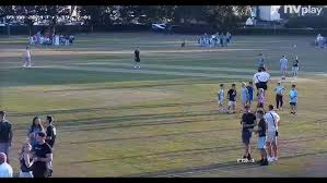 Image result for Hadleigh & Thundersley Cricket Club