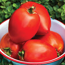 Afbeeldingsresultaat voor amish paste tomato