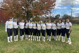 Image result for Cheetahs Softball Team