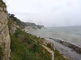 Image result for stevns klint