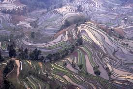 Image result for tanada