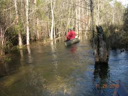 Image result for Blackwater Valley Canoe Club