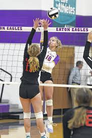 Image result for Eaton Eagles Badminton Club