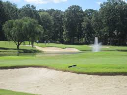 Image result for Salisbury Scrabble Club