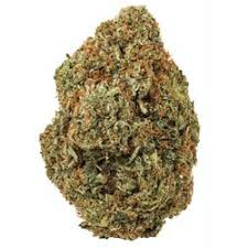 Attēlu rezultāti vaicājumam “Viola uliginosa bud”