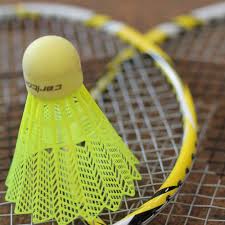 Image result for St Mary's Badminton Club - Peterborough