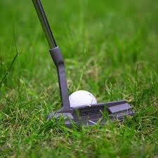 Image result for Longridge Gc