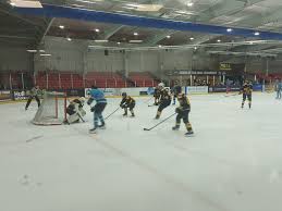 Image result for Kingston Ice Dance Club