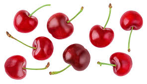 Attēlu rezultāti vaicājumam “Cerasus”