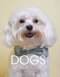 Dogs Wearing Ties Von Christine Edwards: Pets | Blurb-Bücher ...