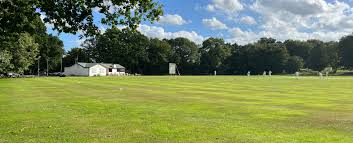 Image result for South Weald Cricket Club
