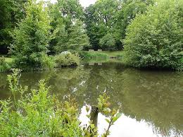 Image result for Crowborough & District Anglers Association