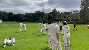 Image result for Bollington Cricket Club