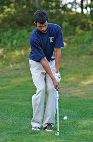 Image result for Plymouth Swallows Gc