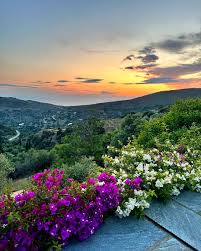 Image result for платформа Андрос