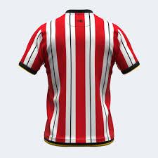 Image result for Sheffield United Cc