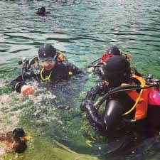 Image result for St. Albans Snorkelling Club (SASC)