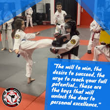 Image result for ATA Martial Arts Maple Ridge