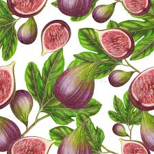 Attēlu rezultāti vaicājumam “Rhinanthus serotinus fruit”