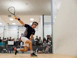 Image result for Addlestone Squash Leagues