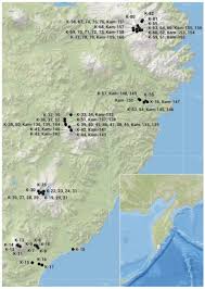 Attēlu rezultāti vaicājumam “Cladopodiella francisci”