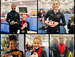 Image result for Treasure Gymnastics