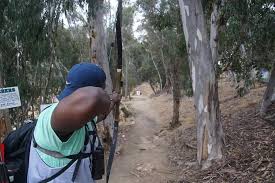 Image result for White Mark Bowmen Field Archery Club