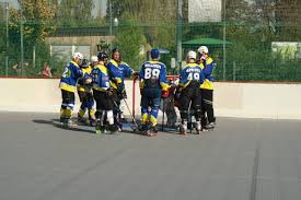Image result for Piranhas Inline Hockey Club