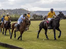 Image result for Taunton Vale Sports Club