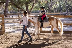 Image result for Reading University Riding Club